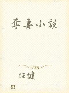 夺妻小说