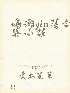 鸣潮yin荡合集小说