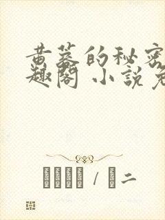黄蓉的秘密 笔趣阁 小说免费阅读下载封面