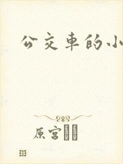 公交车的小说封面