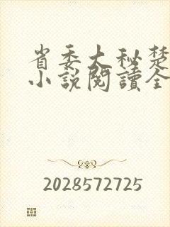 省委大秘楚东恒小说阅读全文