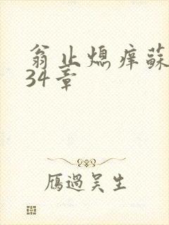 翁止熄痒苏钥第34章封面