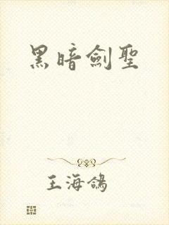 黑暗剑圣封面