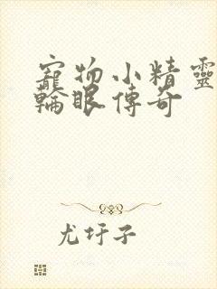 宠物小精灵之写轮眼传奇封面