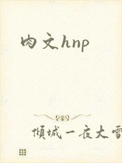 肉文hnp