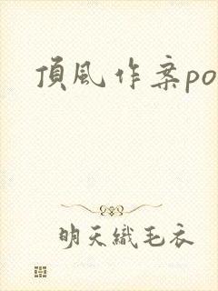 顶风作案po封面