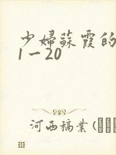 少妇苏霞的沉沦1一20