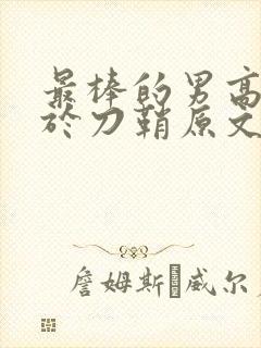最棒的男高中生于刀鞘原文阅读