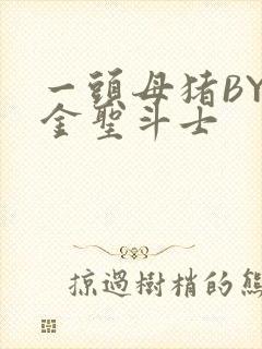 一头母猪BY黄金圣斗士
