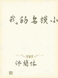 我的名模小娇妻