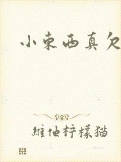 小东西真欠弄