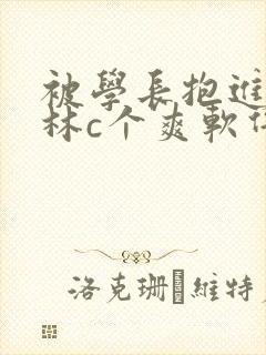 被学长抱进小树林c个爽软件封面