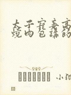 太子宠妾高肉红烧肉包讲的什么