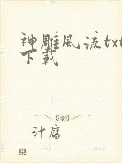 神雕风流txt下载