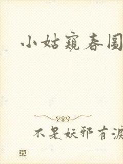 小姑窥春图封面