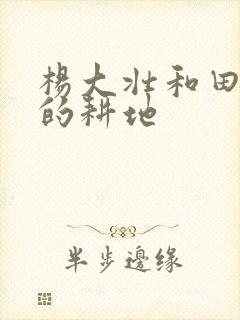 杨大壮和田桂花的耕地