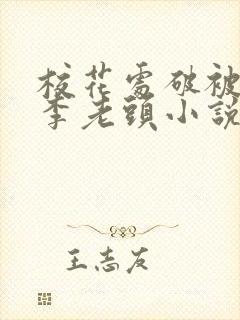校花处破被灌满李老头小说封面
