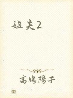 姐夫2