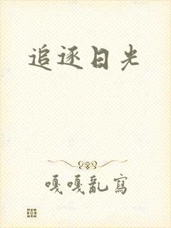 追逐日光封面