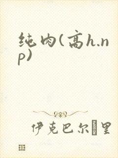 纯肉(高h.np)