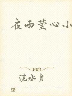 夜雨莹心小说