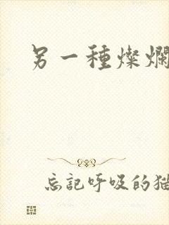 另一种灿烂生活