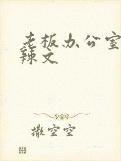 老板办公室系列辣文