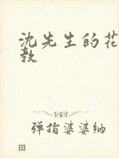 沈先生的花式调教封面