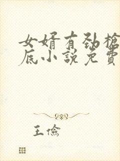 女婿有劲枪枪到底小说免费看封面