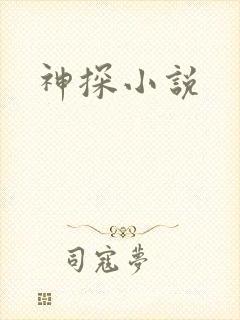 神探小说