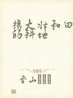 杨大壮和田桂花的耕地
