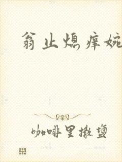 翁止熄痒婉燕封面