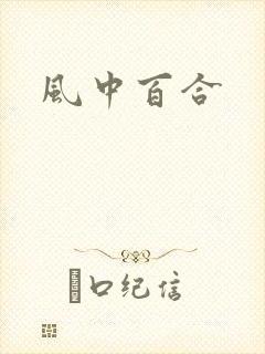 风中百合封面