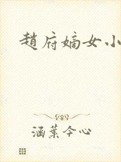 赵府嫡女小说