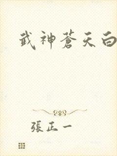 武神苍天白鹤封面