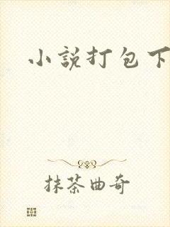 小说打包下载
