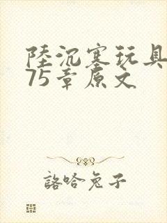 陆沉塞玩具高速75章原文