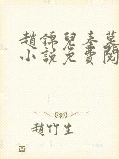 赵锦儿秦慕修的小说免费阅读全文