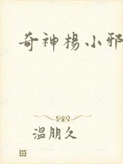 奇神杨小邪封面