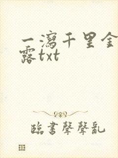一泻千里金银花露txt封面