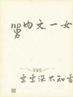 np肉文一女多男
