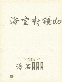 浴室对镜doi