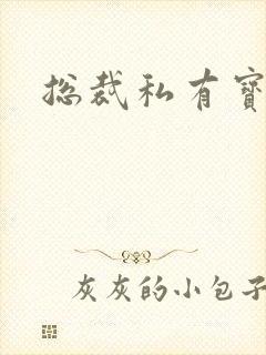 总裁私有宝贝