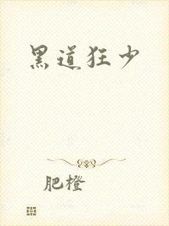 黑道狂少封面