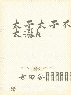 太子太子不要了太涨h