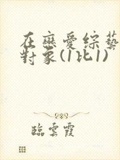在恋爱综艺里搞对象(1比1)