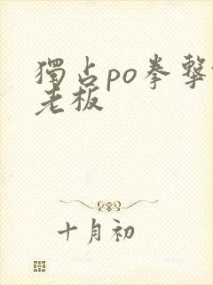 独占po拳击馆老板