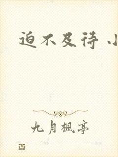 迫不及待 小穴