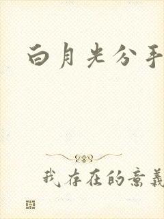 白月光分手日常