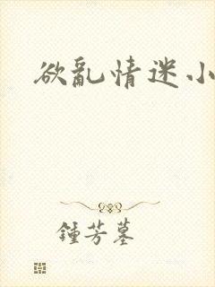 欲乱情迷小说封面